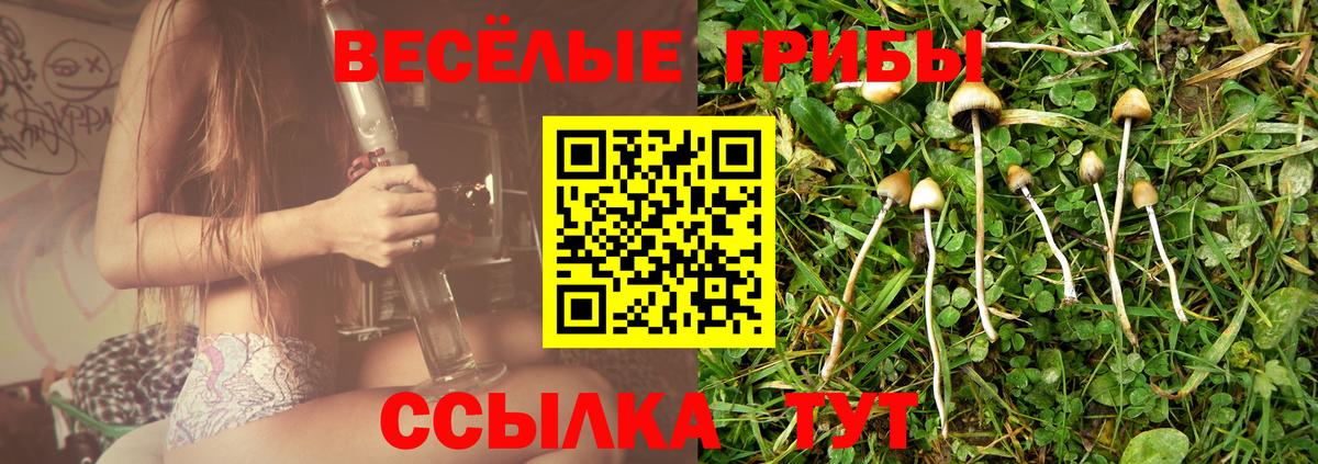 Псилоцибиновые грибы мицелий  Вход с VPN  Кизляр  Галлюциногенные грибы Psilocybine cubensis 