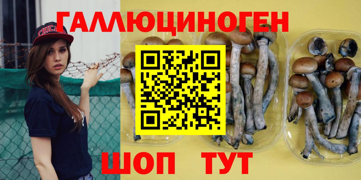 Псилоцибиновые грибы GOLDEN TEACHER Кизляр